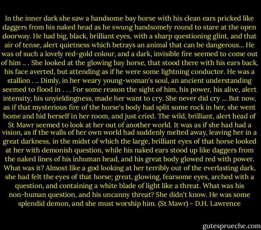 In the inner dark she saw a handsome bay horse with his clean ears<br />pricked like daggers from his naked head as he swung handsomely round<br />to stare at the open doorway. He had big, black, brilliant eyes, with a<br />sharp questioning glint, and that air of tense, alert quietness which betrays<br />an animal that can be dangerous... He was of such a lovely red-gold<br />colour, and a dark, invisible fire seemed to come out of him .. .<br />She looked at the glowing bay horse, that stood there with his ears back,<br />his face averted, but attending as if he were some lightning conductor. He<br />was a stallion . ..<br />Dimly, in her weary young-woman's soul, an ancient understanding<br />seemed to flood in . . . For some reason the sight of him, his power, his alive,<br />alert intensity, his unyieldingness, made her want to cry. She never did<br />cry ... But now, as if that mysterious fire of the horse's body had split some<br />rock in her, she went home and hid herself in her room, and just cried. The<br />wild, brilliant, alert head of St Mawr seemed to look at her out of another<br />world. It was as if she had had a vision, as if the walls of her own world had<br />suddenly melted away, leaving her in a great darkness, in the midst of which<br />the large, brilliant eyes of that horse looked at her with demonish question,<br />while his naked ears stood up like daggers from the naked lines of his<br />inhuman head, and his great body glowed red with power.<br />What was it? Almost like a god looking at her terribly out of the<br />everlasting dark, she had felt the eyes of that horse; great, glowing,<br />fearsome eyes, arched with a question, and containing a white blade of<br />light like a threat. What was his non-human question, and his uncanny<br />threat? She didn't know. He was some splendid demon, and she must<br />worship him. (St Mawr) - D.H. Lawrence