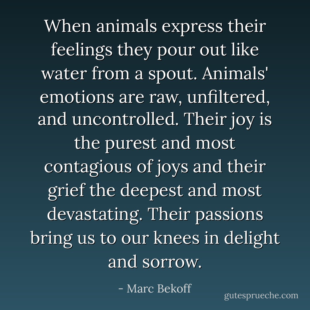 When animals express their feelings they pour out like water from a spout. Animals' emotions are raw, unfiltered, and uncontrolled. Their joy is the purest and most contagious of joys and their grief the deepest and most devastating. Their passions bring us to our knees in delight and sorrow. - Marc Bekoff