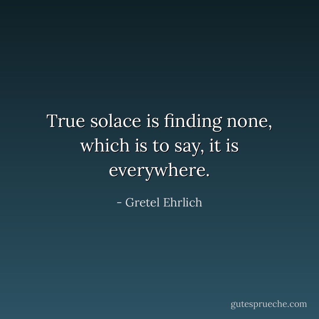True solace is finding none, which is to say, it is everywhere. - Gretel Ehrlich