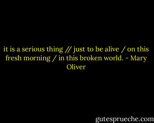it is a serious thing // just to be alive / on this fresh morning / in this broken world. - Mary Oliver