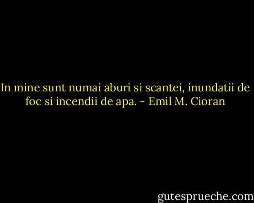In mine sunt numai aburi si scantei, inundatii de foc si incendii de apa. - Emil M. Cioran