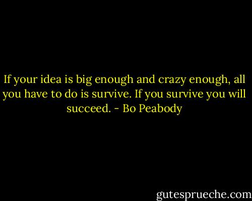 If your idea is big enough and crazy enough, all you have to do is survive. If you survive you will succeed. - Bo Peabody