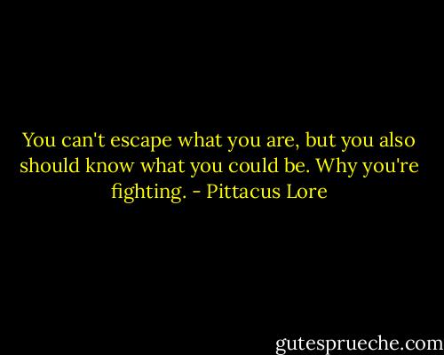 You can't escape what you are, but you also should know what you could be. Why you're fighting. - Pittacus Lore