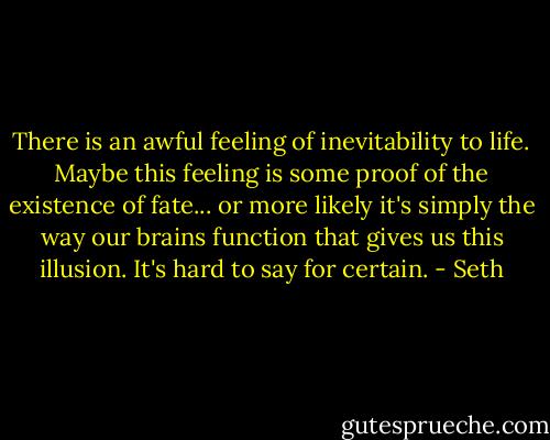 There is an awful feeling of inevitability to life. Maybe this feeling is some proof of the existence of fate... or more likely it's simply the way our brains function that gives us this illusion. It's hard to say for certain. - Seth
