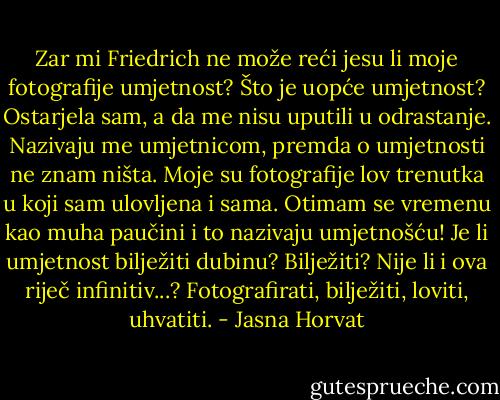 Zar mi Friedrich ne može reći jesu li moje fotografije umjetnost? Što je uopće umjetnost? Ostarjela sam, a da me nisu uputili u odrastanje. Nazivaju me umjetnicom, premda o umjetnosti ne znam ništa. Moje su fotografije lov trenutka u koji sam ulovljena i sama. Otimam se vremenu kao muha paučini i to nazivaju umjetnošću! Je li umjetnost bilježiti dubinu? Bilježiti? Nije li i ova riječ infinitiv...? Fotografirati, bilježiti, loviti, uhvatiti. - Jasna Horvat