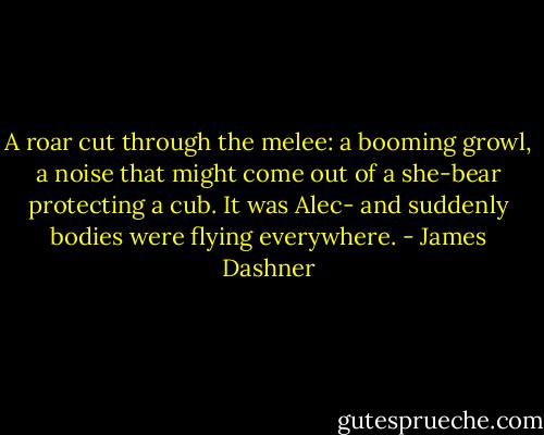 A roar cut through the melee: a booming growl, a noise that might come out of a she-bear protecting a cub. It was Alec- and suddenly bodies were flying everywhere. - James Dashner
