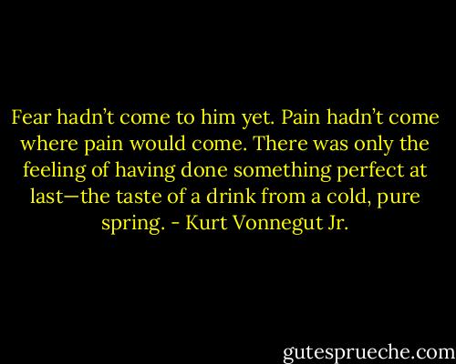 Fear hadn’t come to him yet. Pain hadn’t come where pain would come. There was only the feeling of having done something perfect at last—the taste of a drink from a cold, pure spring. - Kurt Vonnegut Jr.
