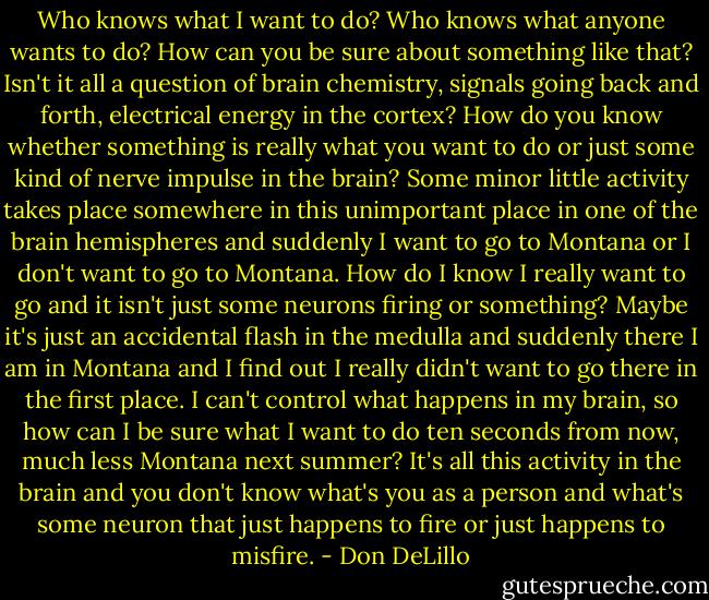 Who knows what I want to do? Who knows what anyone wants to do? How can you be sure about something like that? Isn't it all a question of brain chemistry, signals going back and forth, electrical energy in the cortex? How do you know whether something is really what you want to do or just some kind of nerve impulse in the brain? Some minor little activity takes place somewhere in this unimportant place in one of the brain hemispheres and suddenly I want to go to Montana or I don't want to go to Montana. How do I know I really want to go and it isn't just some neurons firing or something? Maybe it's just an accidental flash in the medulla and suddenly there I am in Montana and I find out I really didn't want to go there in the first place. I can't control what happens in my brain, so how can I be sure what I want to do ten seconds from now, much less Montana next summer? It's all this activity in the brain and you don't know what's you as a person and what's some neuron that just happens to fire or just happens to misfire. - Don DeLillo