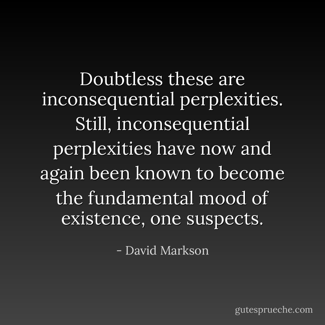 Doubtless these are inconsequential perplexities. Still, inconsequential perplexities have now and again been known to become the fundamental mood of existence, one suspects. - David Markson