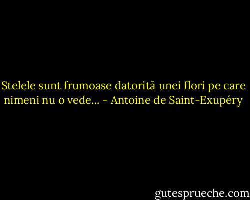 Stelele sunt frumoase datorită unei flori pe care nimeni nu o vede... - Antoine de Saint-Exupéry