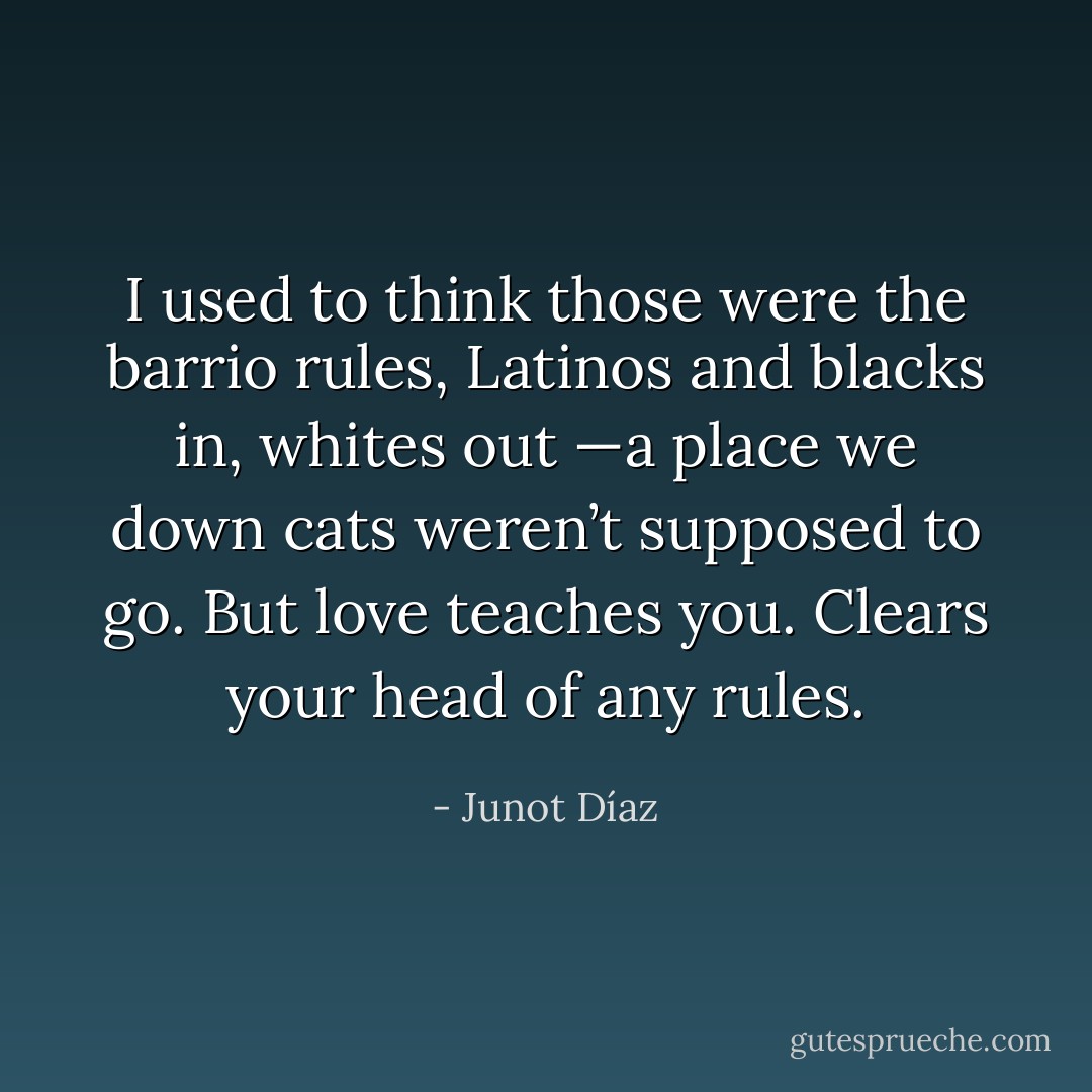 I used to think those were the barrio rules, Latinos and blacks in, whites out —a place we down cats weren’t supposed to go. But love teaches you. Clears your head of any rules. - Junot Díaz