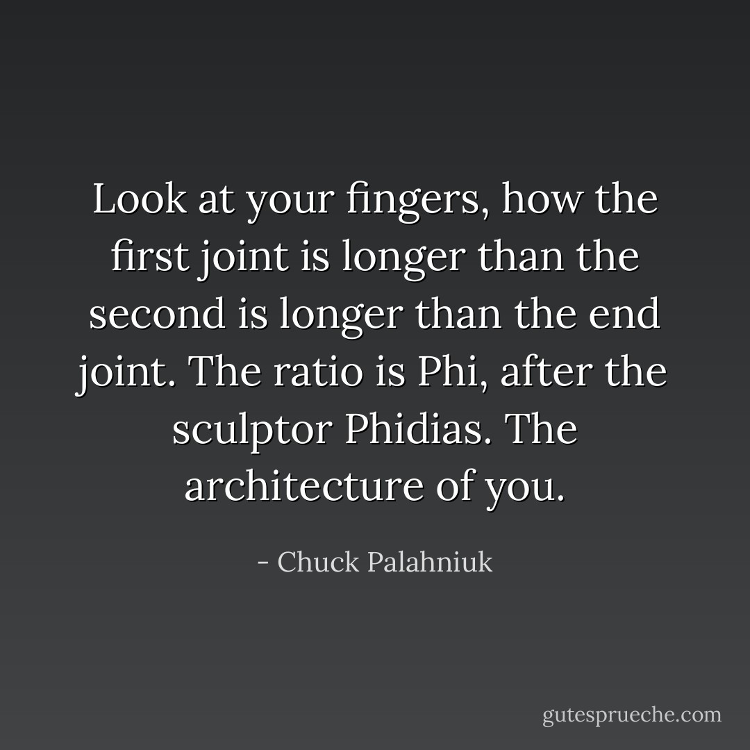 Look at your fingers, how the first joint is longer than the second is longer than the end joint. The ratio is Phi, after the sculptor Phidias. The architecture of you. - Chuck Palahniuk