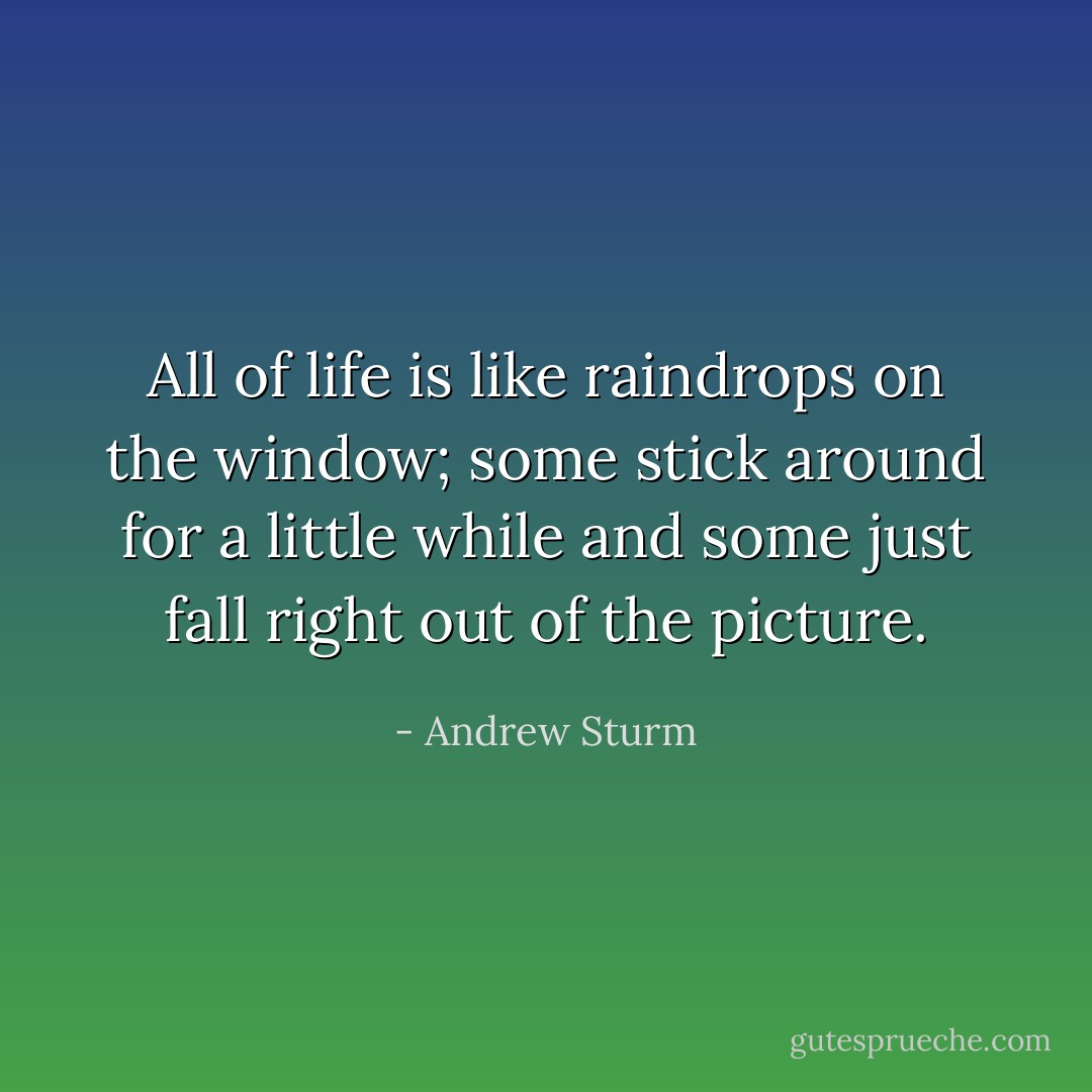 All of life is like raindrops on the window; some stick around for a little while and some just fall right out of the picture. - Andrew Sturm