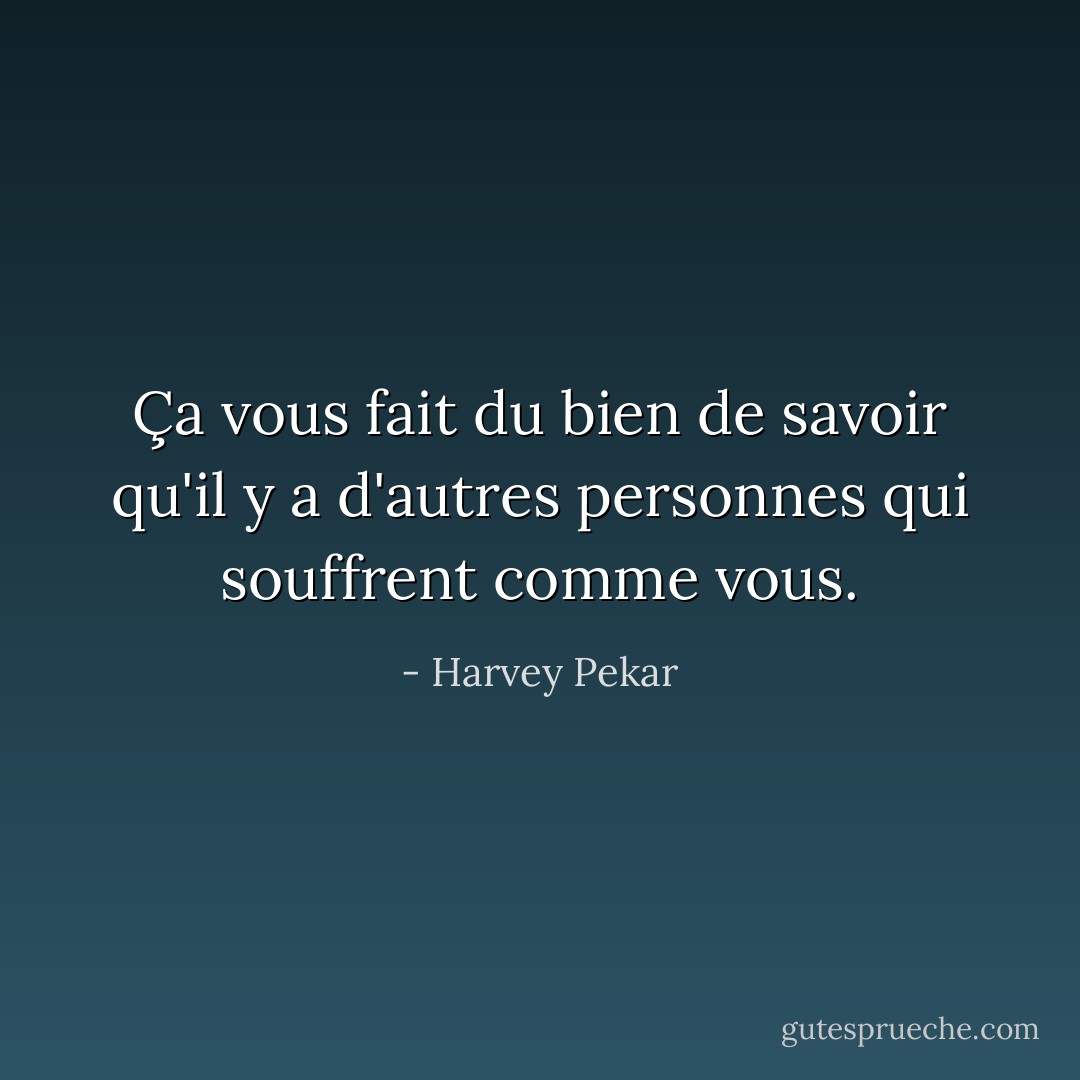 Ça vous fait du bien de savoir qu'il y a d'autres personnes qui souffrent comme vous. - Harvey Pekar