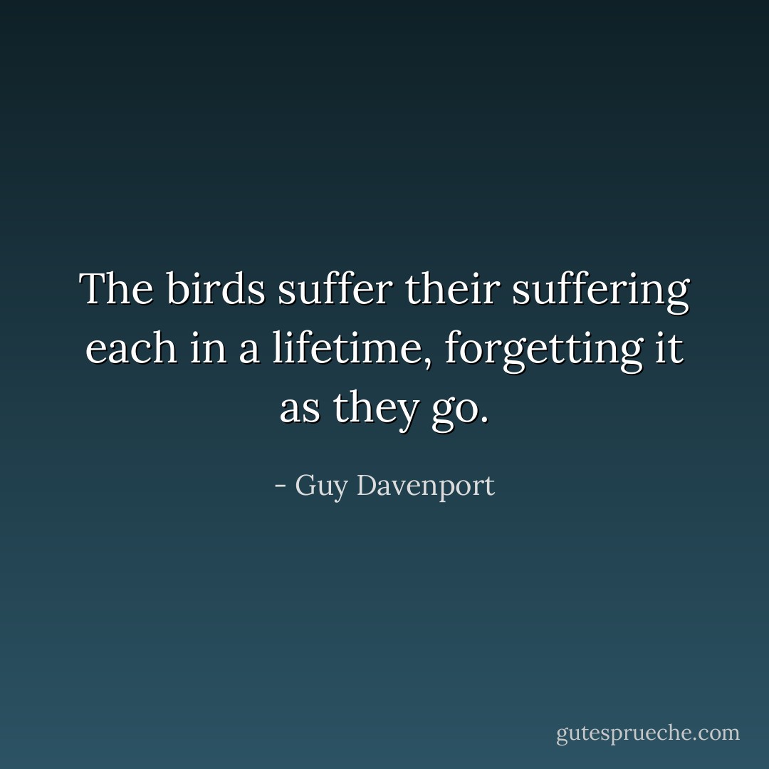 The birds suffer their suffering each in a lifetime, forgetting it as they go. - Guy Davenport