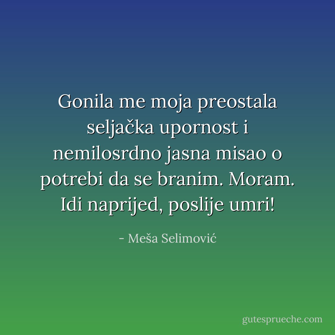 Gonila me moja preostala seljačka upornost i nemilosrdno jasna misao o potrebi da se branim. Moram. Idi naprijed, poslije umri! - Meša Selimović