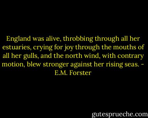 England was alive, throbbing through all her estuaries, crying for joy through the mouths of all her gulls, and the north wind, with contrary motion, blew stronger against her rising seas. - E.M. Forster