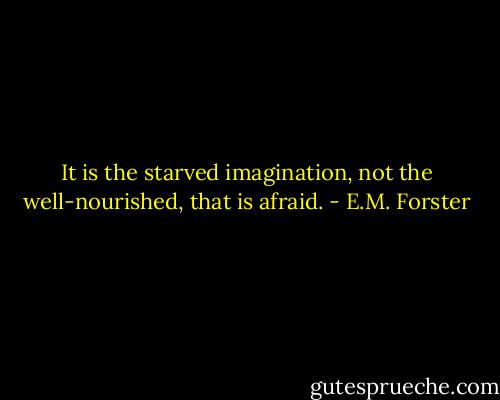 It is the starved imagination, not the well-nourished, that is afraid. - E.M. Forster