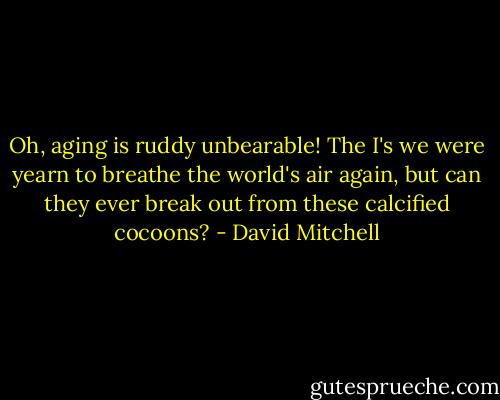 Oh, aging is ruddy unbearable! The I's we were yearn to breathe the world's air again, but can they ever break out from these calcified cocoons? - David Mitchell
