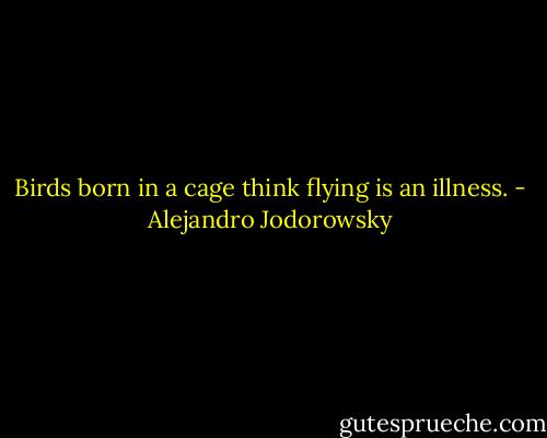 Birds born in a cage think flying is an illness. - Alejandro Jodorowsky