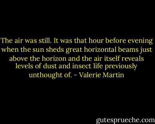 The air was still. It was that hour before evening when the sun sheds great horizontal beams just above the horizon and the air itself reveals levels of dust and insect life previously unthought of. - Valerie Martin