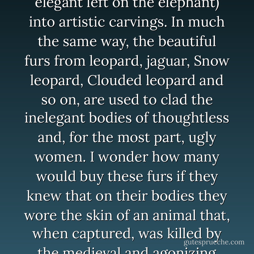 Japan and Hong Kong are steadily whittling away at the last of the elephants, turning their tusks (so much more elegant left on the elephant) into artistic carvings. In much the same way, the beautiful furs from leopard, jaguar, Snow leopard, Clouded leopard and so on, are used to clad the inelegant bodies of thoughtless and, for the most part, ugly women. I wonder how many would buy these furs if they knew that on their bodies they wore the skin of an animal that, when captured, was killed by the medieval and agonizing method of having a red-hot rod inserted up its rectum so as not to mark the skin. - Gerald Durrell