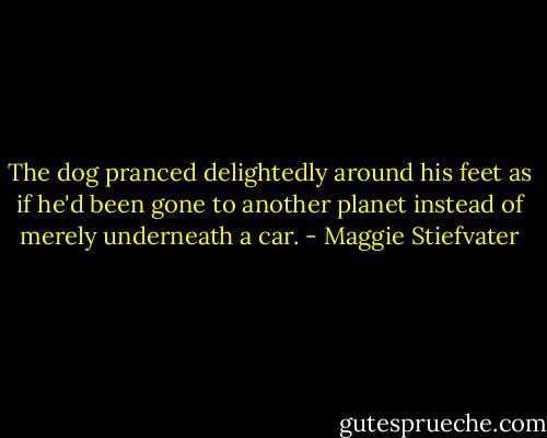 The dog pranced delightedly around his feet as if he'd been gone to another planet instead of merely underneath a car. - Maggie Stiefvater
