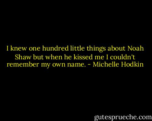 I knew one hundred little things about Noah Shaw but when he kissed me I couldn't remember my own name. - Michelle Hodkin