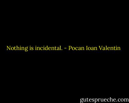 Nothing is incidental. - Pocan Ioan Valentin