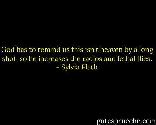 God has to remind us this isn't heaven by a long shot, so he increases the radios and lethal flies. - Sylvia Plath