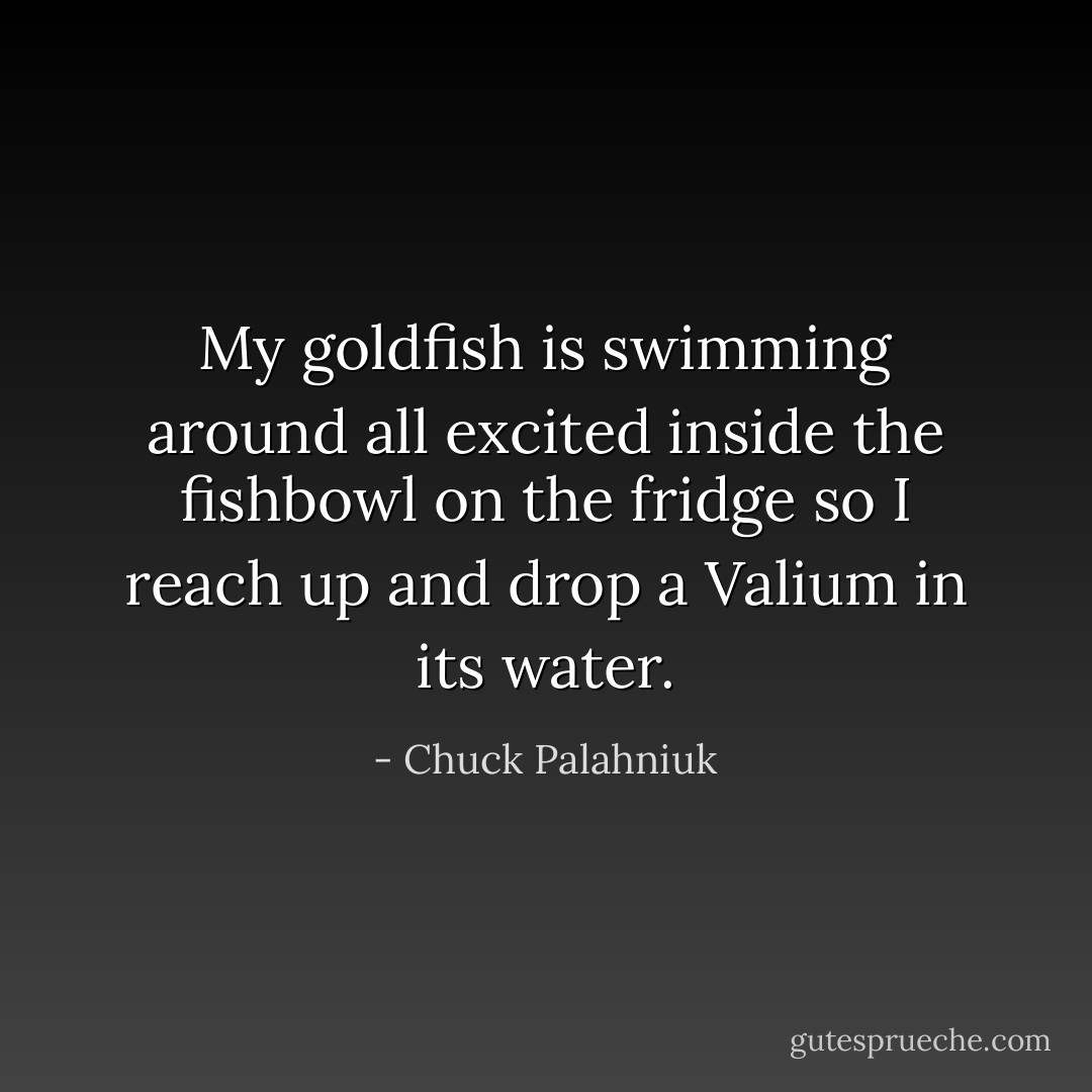 My goldfish is swimming around all excited inside the fishbowl on the fridge so I reach up and drop a Valium in its water. - Chuck Palahniuk