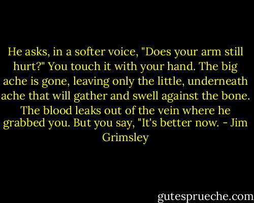 He asks, in a softer voice, "Does your arm still hurt?"<br />You touch it with your hand. The big ache is gone, leaving only the little, underneath ache that will gather and swell against the bone. The blood leaks out of the vein where he grabbed you. But you say, "It's better now. - Jim Grimsley