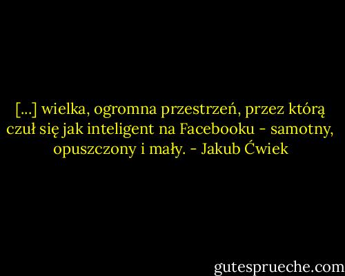 [...] wielka, ogromna przestrzeń, przez którą czuł się jak inteligent na Facebooku - samotny, opuszczony i mały. - Jakub Ćwiek