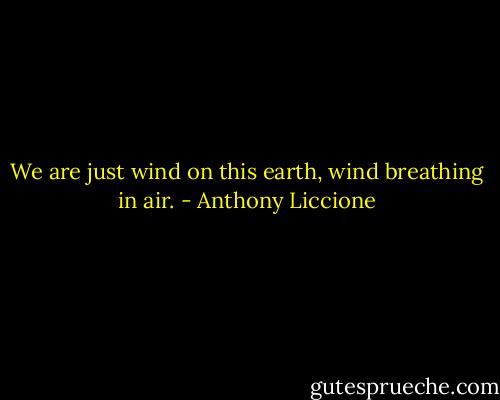 We are just wind on this earth, wind breathing in air. - Anthony Liccione