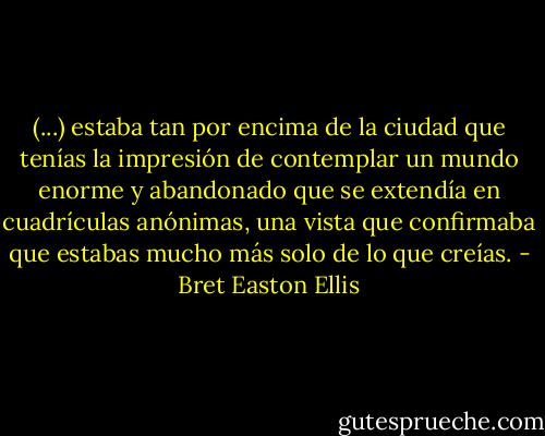 (...) estaba tan por encima de la ciudad que tenías la impresión de contemplar un mundo enorme y abandonado que se extendía en cuadrículas anónimas, una vista que confirmaba que estabas mucho más solo de lo que creías. - Bret Easton Ellis