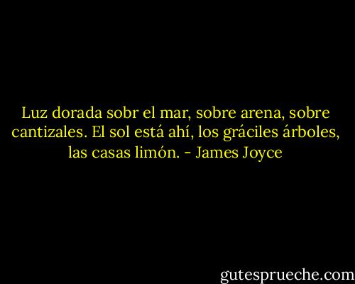Luz dorada sobr el mar, sobre arena, sobre cantizales. El sol está ahí, los gráciles árboles, las casas limón. - James Joyce