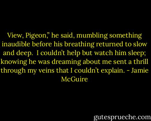 View, Pigeon,” he said, mumbling something inaudible before his breathing returned to slow and deep.<br /><br />I couldn’t help but watch him sleep; knowing he was dreaming about me sent a thrill through my veins that I couldn’t explain. - Jamie McGuire