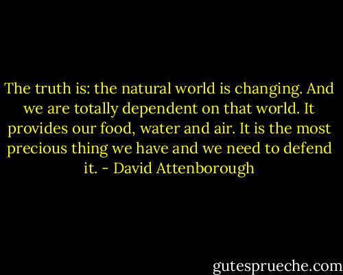 The truth is: the natural world is changing. And we are totally dependent on that world. It provides our food, water and air. It is the most precious thing we have and we need to defend it. - David Attenborough