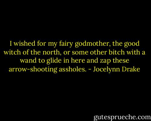 I wished for my fairy godmother, the good witch of the north, or some other bitch with a wand to glide in here and zap these arrow-shooting assholes. - Jocelynn Drake
