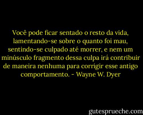 Você pode ficar sentado o resto da vida, lamentando-se sobre o quanto foi mau, sentindo-se culpado até morrer, e nem um minúsculo fragmento dessa culpa irá contribuir de maneira nenhuma para corrigir esse antigo comportamento. - Wayne W. Dyer