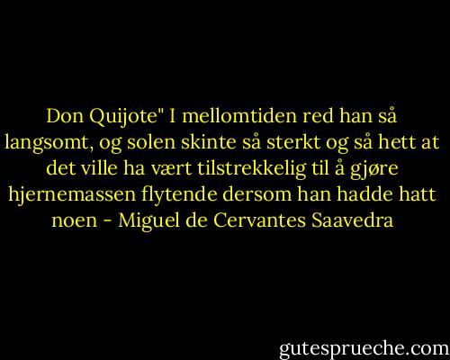 Don Quijote"<br />I mellomtiden red han så langsomt, og solen skinte så sterkt og så hett at det ville ha vært tilstrekkelig til å gjøre hjernemassen flytende dersom han hadde hatt noen - Miguel de Cervantes Saavedra