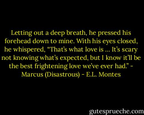 Letting out a deep breath, he pressed his forehead down to mine. With his eyes closed, he whispered, “That’s what love is … It’s scary not knowing what’s expected, but I know it’ll be the best frightening love we’ve ever had.” - Marcus (Disastrous) - E.L. Montes