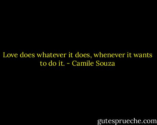 Love does whatever it does, whenever it wants to do it. - Camile Souza