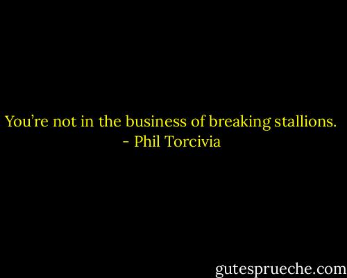 You’re not in the business of breaking stallions. - Phil Torcivia