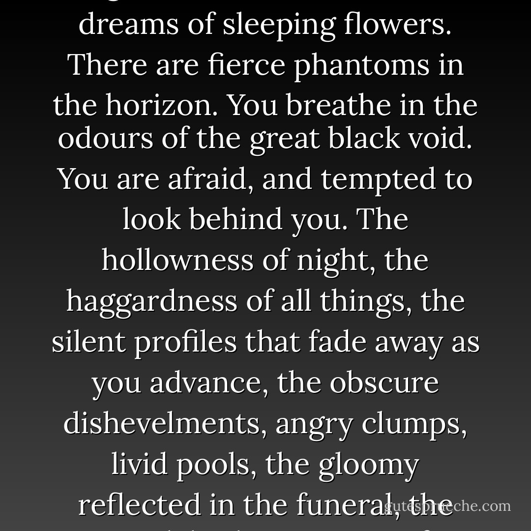 Darkness makes the brain giddy. Man needs light. Whoever plunges into the opposite of day feels his heart chilled. When the eye sees blackness, the mind sees trouble. In an eclipse, in night, in the sooty darkness, there is an anxiety even to the strongest. Nobody walks alone at night in the forest without trembling. Darkness and trees, two formidable depths - a reality of chimeras appears in the indistinct distance. The Inconceivable outlines itself a few steps from you with a spectral clearness. You see floating in space or in your brain something strangely vague and unseizable as the dreams of sleeping flowers. There are fierce phantoms in the horizon. You breathe in the odours of the great black void. You are afraid, and tempted to look behind you. The hollowness of night, the haggardness of all things, the silent profiles that fade away as you advance, the obscure dishevelments, angry clumps, livid pools, the gloomy reflected in the funeral, the sepulchral immensity of silence, the possible unknown beings, the swaying of mysterious branches, the frightful twistings of the trees, long spires of shivering grass - against all this you have no defence. There is no bravery which does not shudder and feel the nearness of anguish. You feel something hideous as if the soul were amalgamating with the shadow. This penetration of the darkness is inexperessibly dismal for a child. <br />Forests are apocalypses; and the beating of the wings of a little soul makes an agonising sound under their monstrous vault. - Victor Hugo