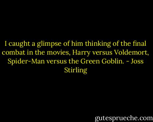 I caught a glimpse of him thinking of the final combat in the movies, Harry versus Voldemort, Spider-Man versus the Green Goblin. - Joss Stirling