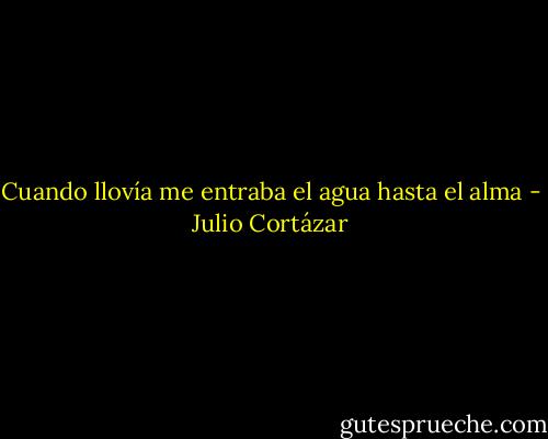 Cuando llovía me entraba el agua hasta el alma - Julio Cortázar