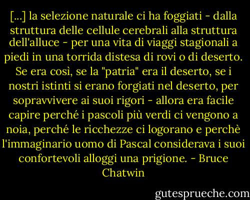 [...] la selezione naturale ci ha foggiati - dalla struttura delle cellule cerebrali alla struttura dell'alluce - per una vita di viaggi stagionali a piedi in una torrida distesa di rovi o di deserto.<br />Se era così, se la "patria" era il deserto, se i nostri istinti si erano forgiati nel deserto, per sopravvivere ai suoi rigori - allora era facile capire perché i pascoli più verdi ci vengono a noia, perché le ricchezze ci logorano e perchè l'immaginario uomo di Pascal considerava i suoi confortevoli alloggi una prigione. - Bruce Chatwin