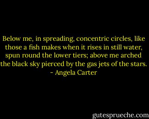 Below me, in spreading, concentric circles, like those a fish makes when it rises in still water, spun round the lower tiers; above me arched the black sky pierced by the gas jets of the stars. - Angela Carter