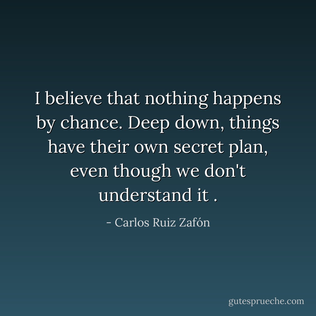 I believe that nothing happens by chance. Deep down, things have their own secret plan, even though we don't understand it . - Carlos Ruiz Zafón